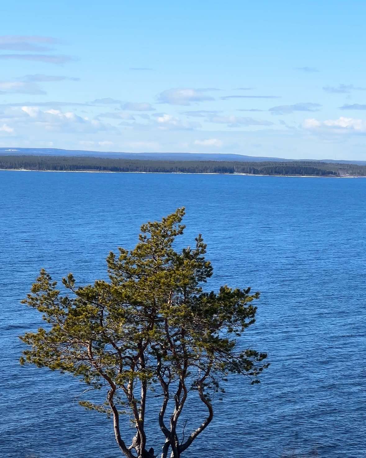 Originalmålning "Mellan vågor"